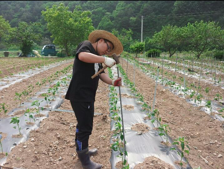 태연사 이미지