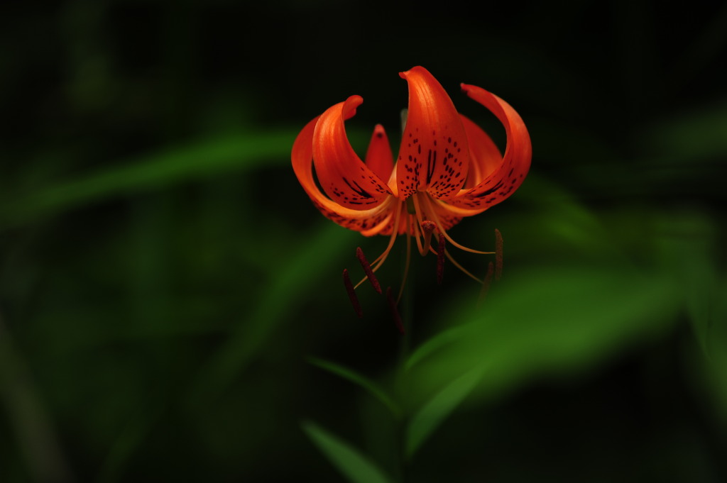 선유동 이미지