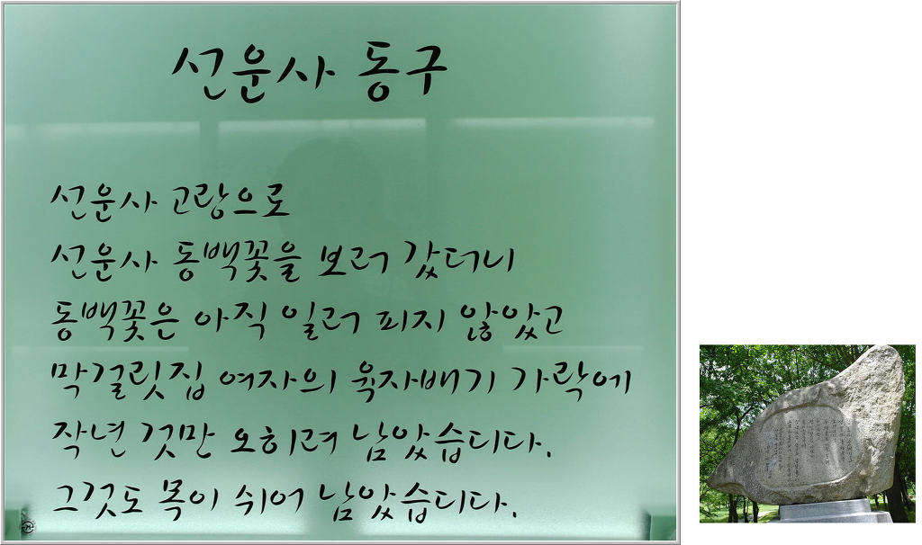 꽃미당 이미지