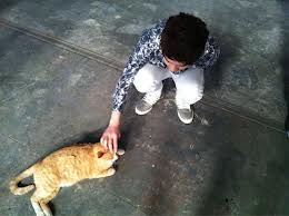 쉽게 이해하는 고양이에 관한 이야기 2 | 인스티즈