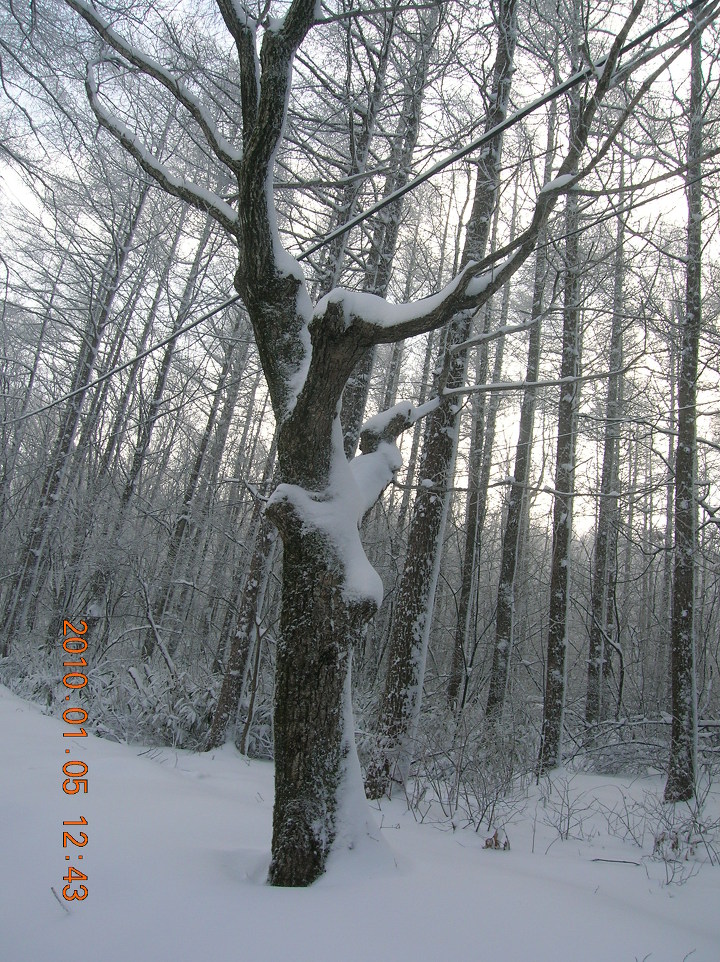 태백산 전경 이미지
