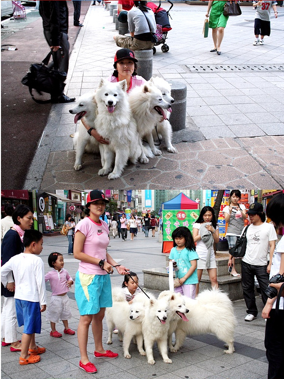산책 이미지