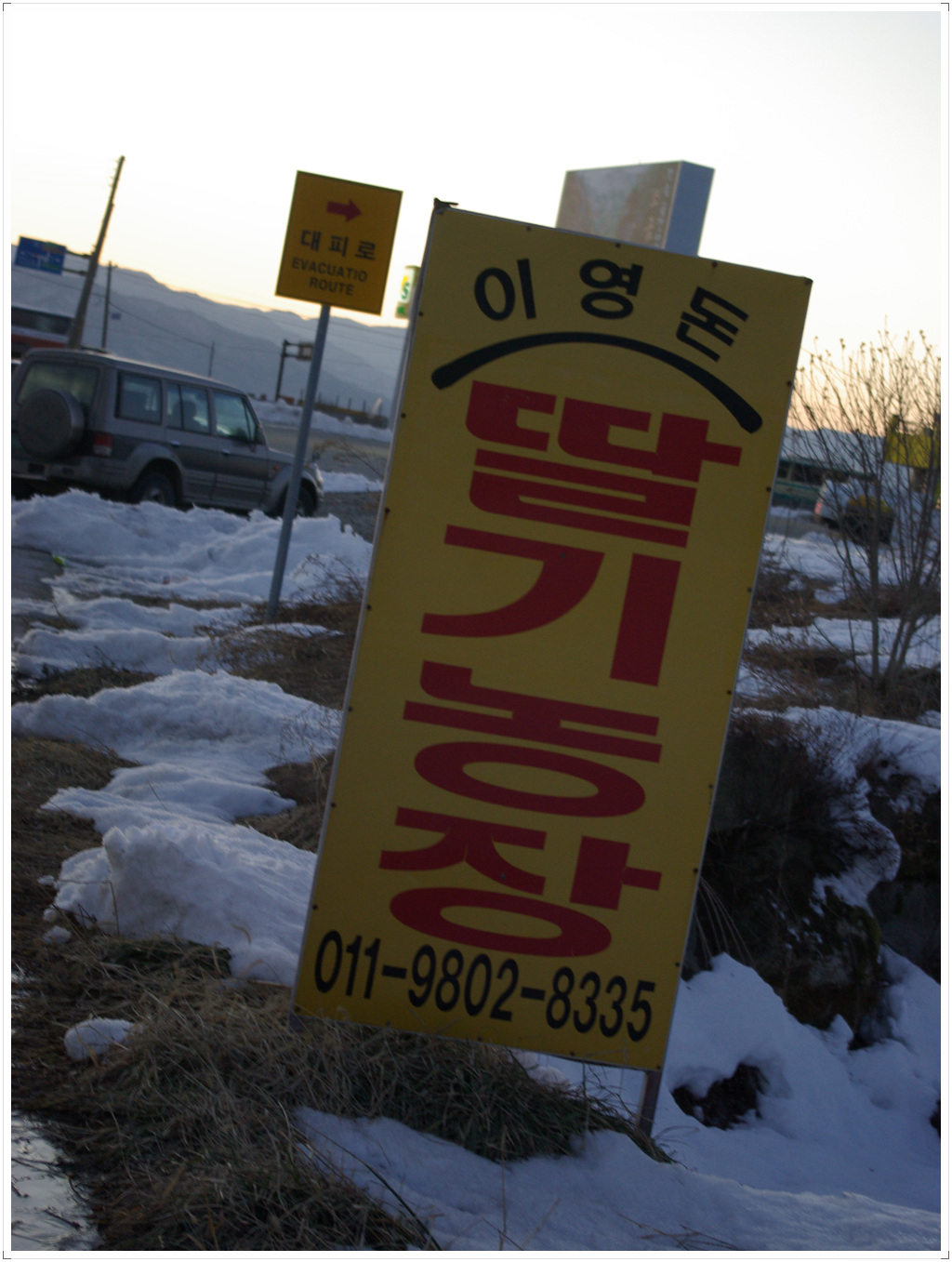 이영돈딸기 이미지