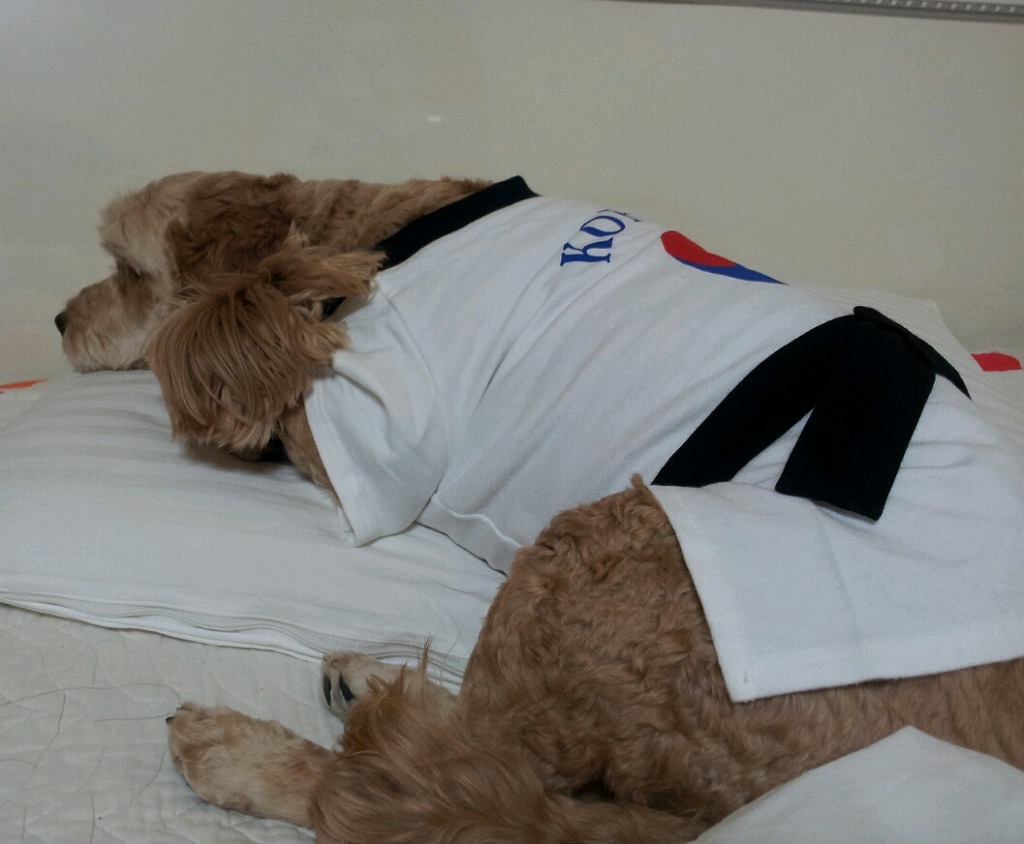 옆집이모 이미지