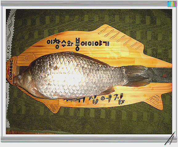 대물낚시 이미지