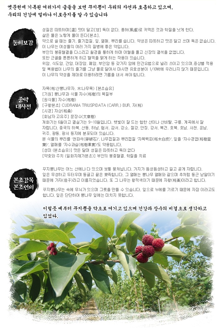 하늘약초 이미지