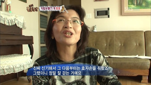 [동물농장] 지팡이 짚고 걷는 심봉사 개 또또라오 | 인스티즈