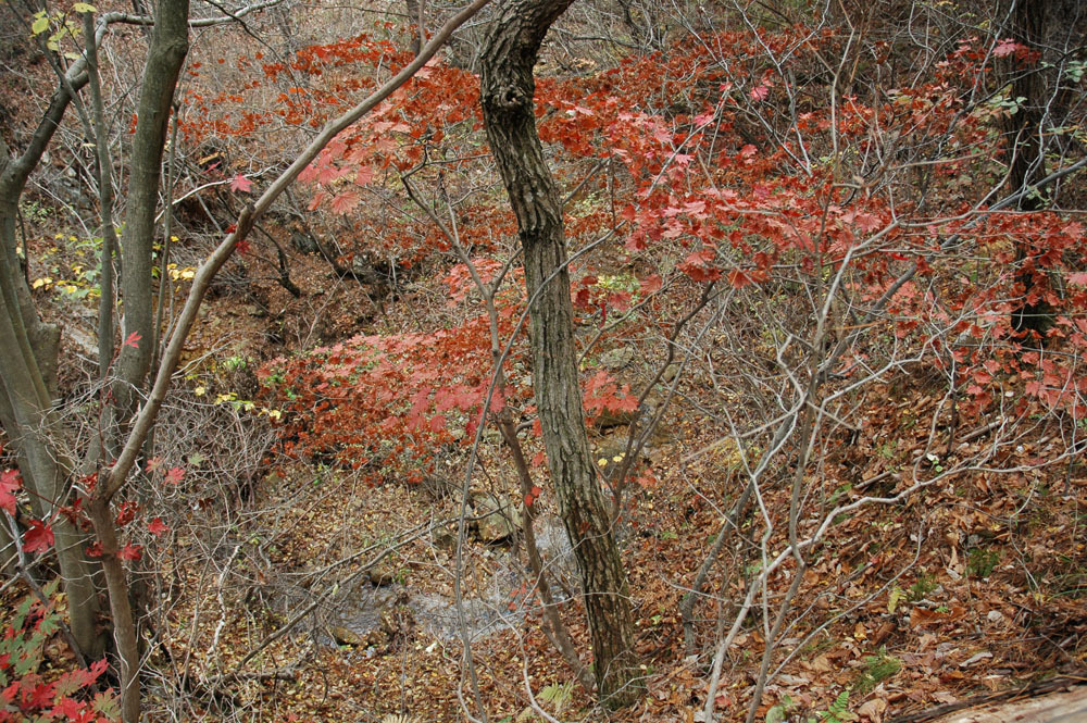 산책 E&D 이미지