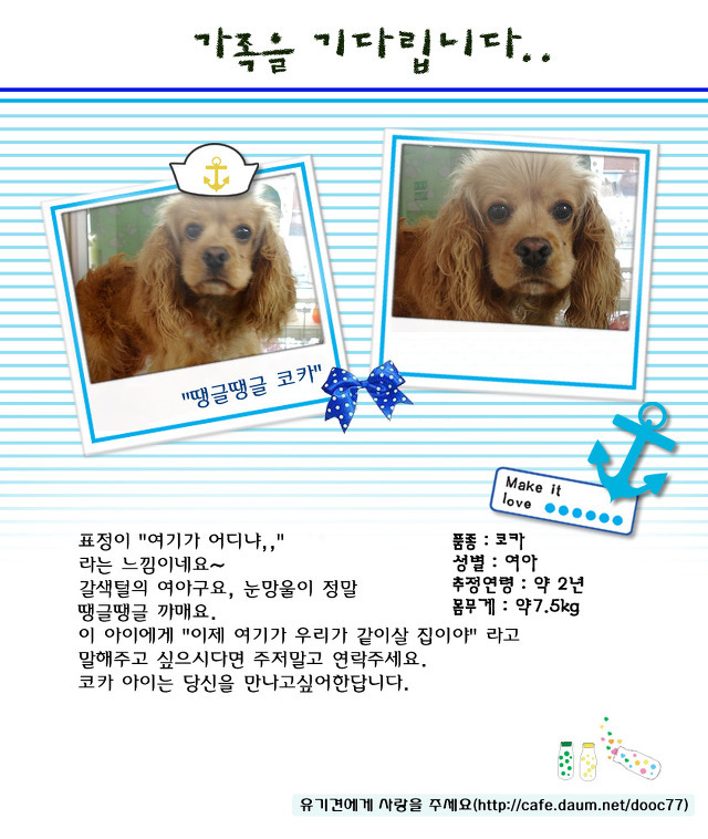 코카 이미지