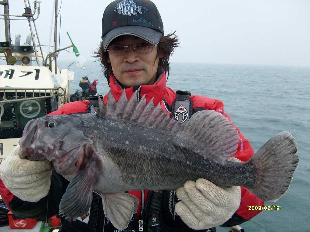 도화낚시 이미지