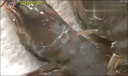천지유통 이미지