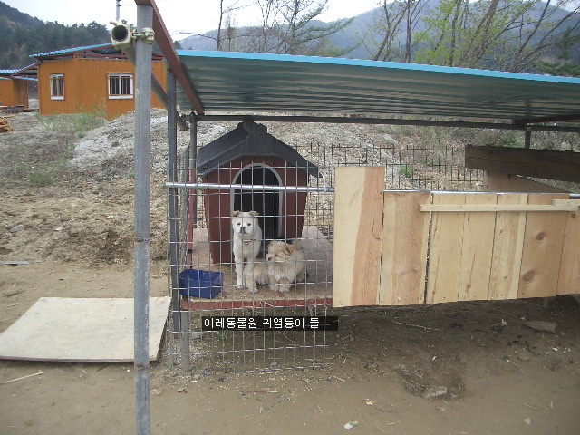 이레캠핑장 이미지