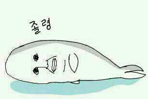 엘티이 이미지