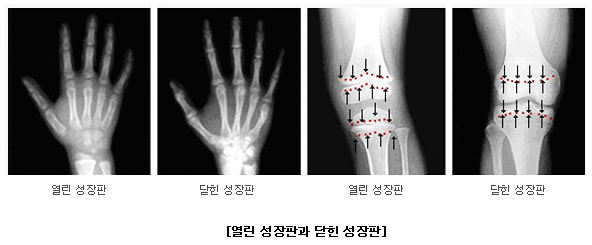 영양환경 이미지