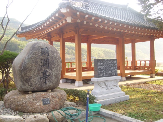 정자 이미지