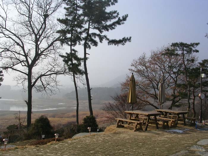 Lee's 이미지
