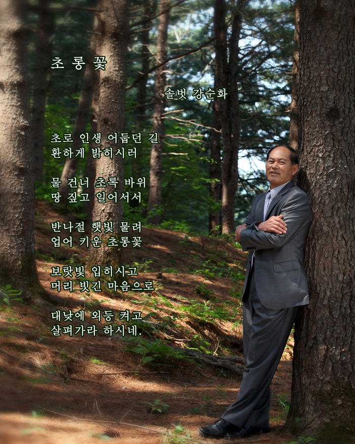 솔벗 이미지