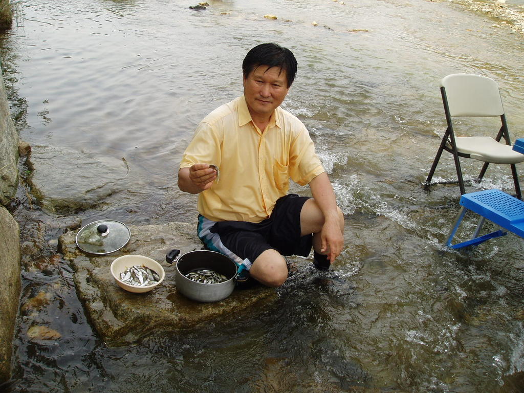 숲속의계곡 이미지