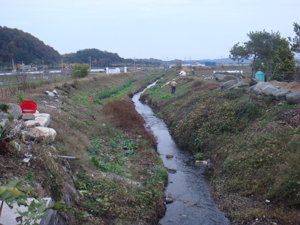 산천초목 이미지