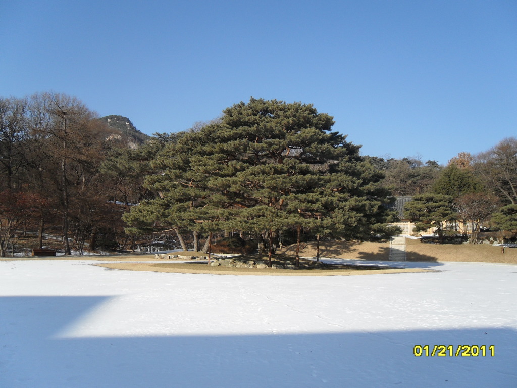 청화대 이미지