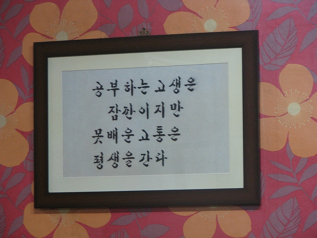담칼국수 이미지