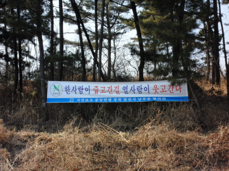 동댕이네 이미지