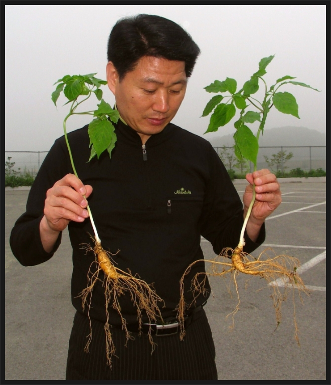 마시와 이미지