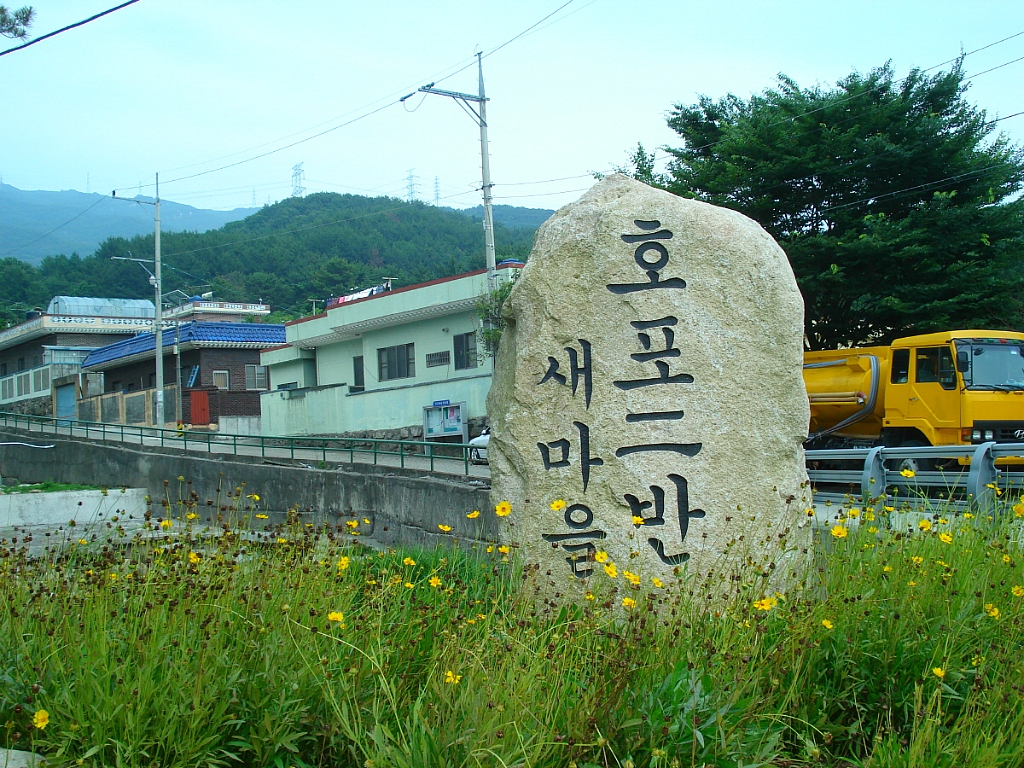새동네다방 이미지