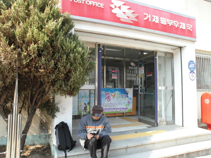 동부갈매기 이미지