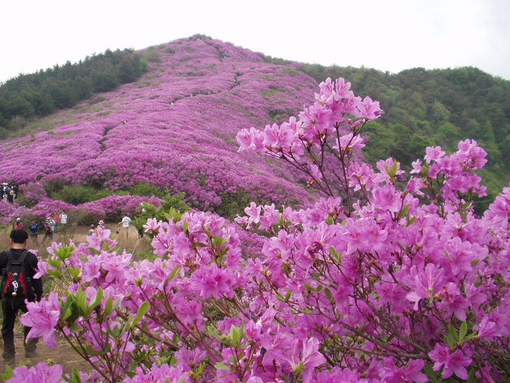 금록식육식당 이미지