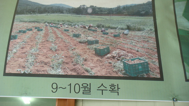 이레유통 이미지