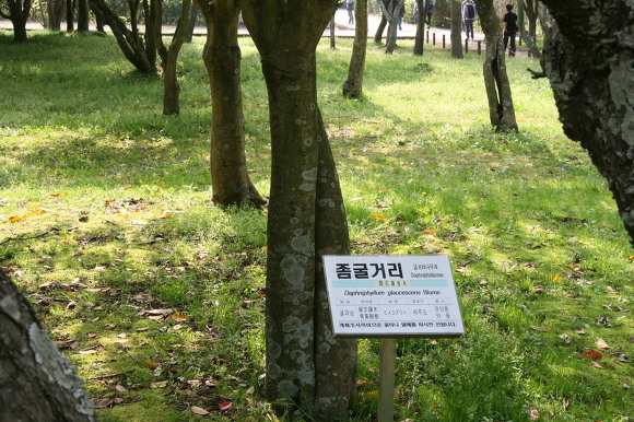 한라수목원 이미지