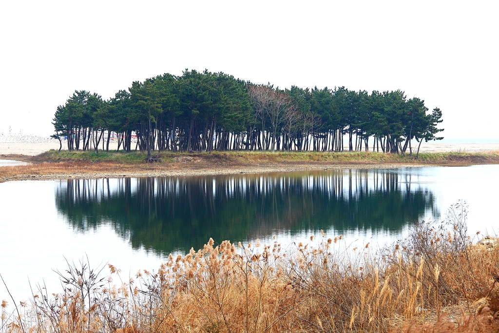 삼척 월천리 이미지