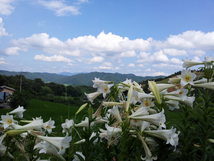 지리산 하늘농원 이미지