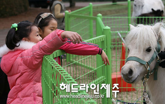 제주해피랜드 이미지