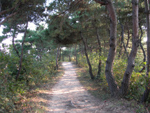 돈달산 이미지