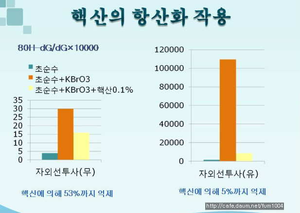 (주)핵산바이오 이미지