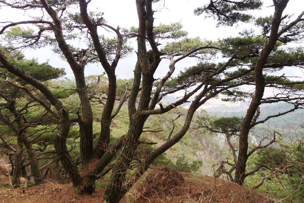 대산면(순창) 이미지