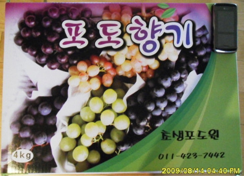 싱싱포도원 이미지
