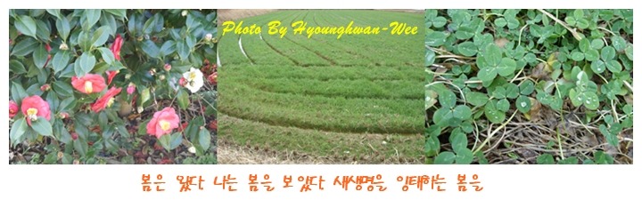 남쪽향기 이미지