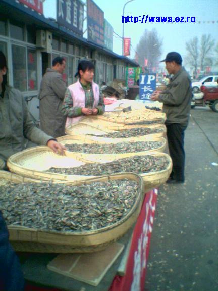 중국문화원 이미지