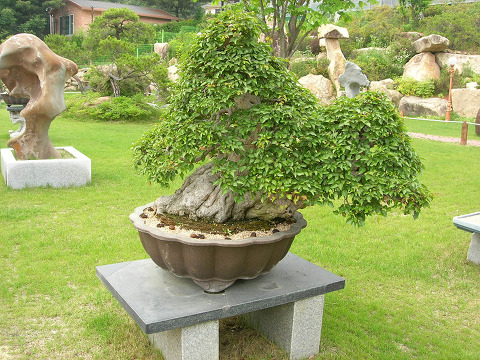 산수원 이미지
