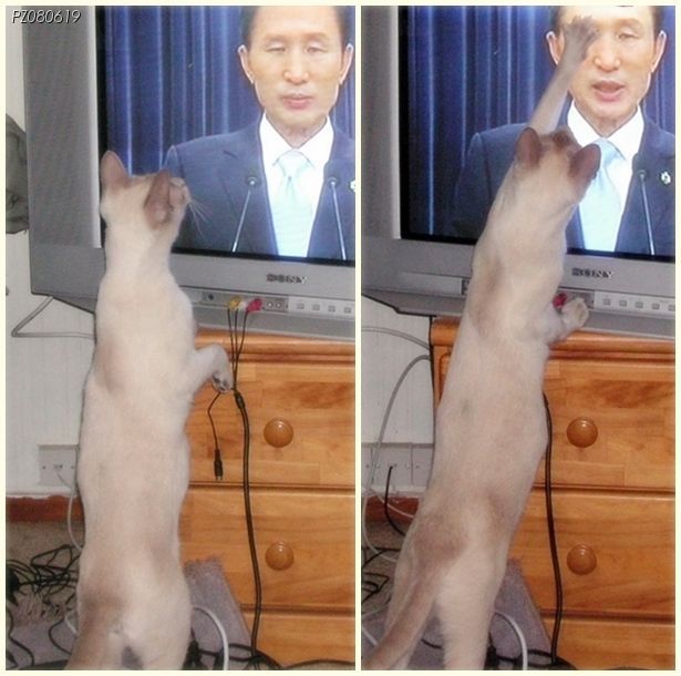 영특 이미지