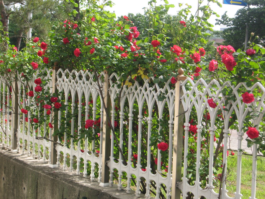 1776D2174A1205071BF6C8