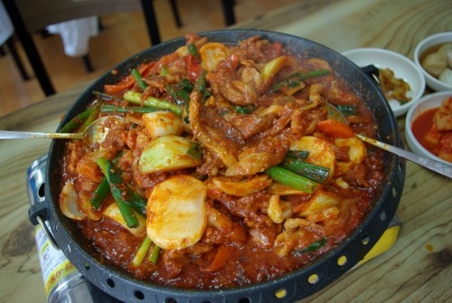황금생오리 이미지