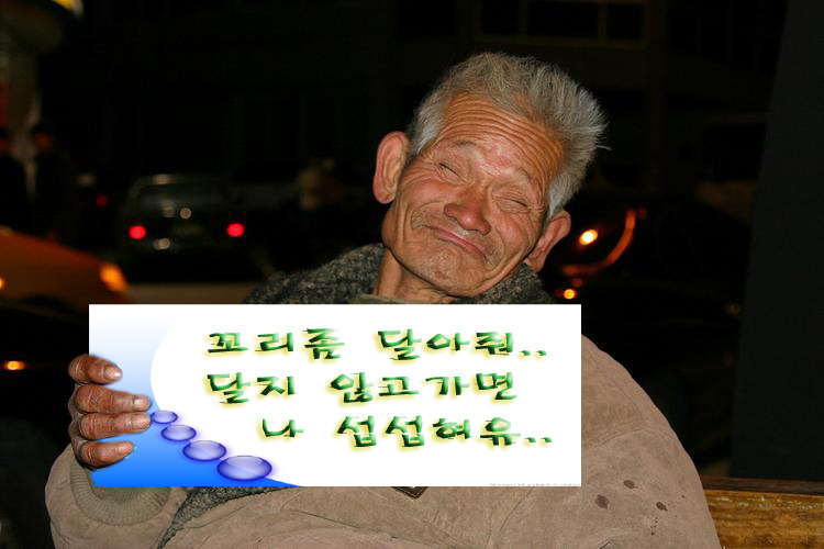 볕들 이미지