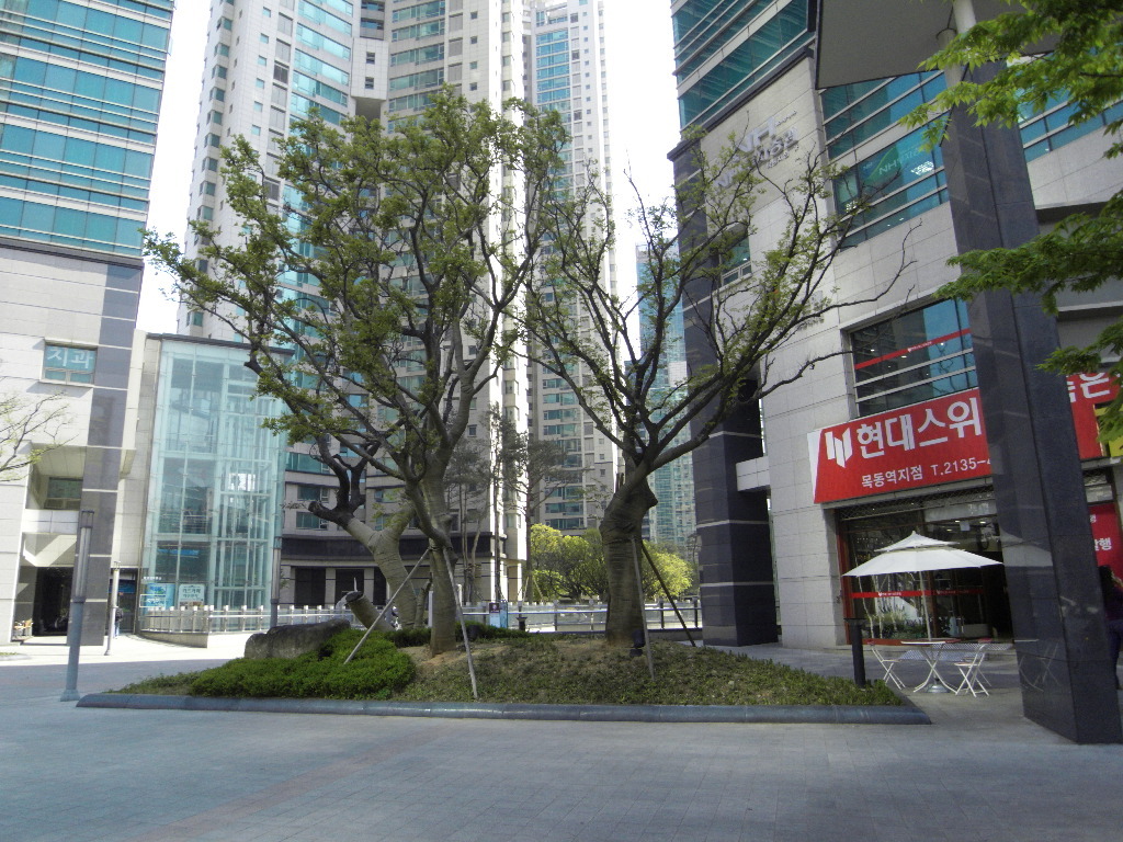 삼성조경 이미지