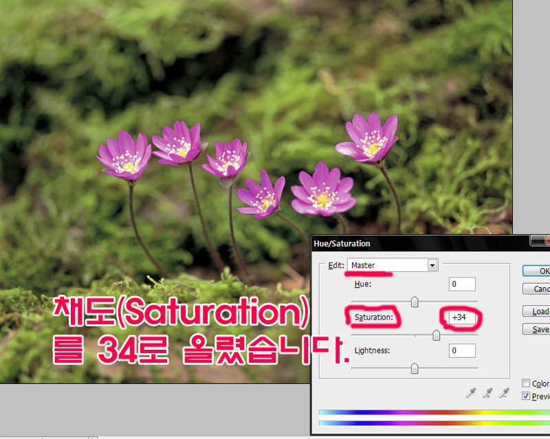 채도 이미지
