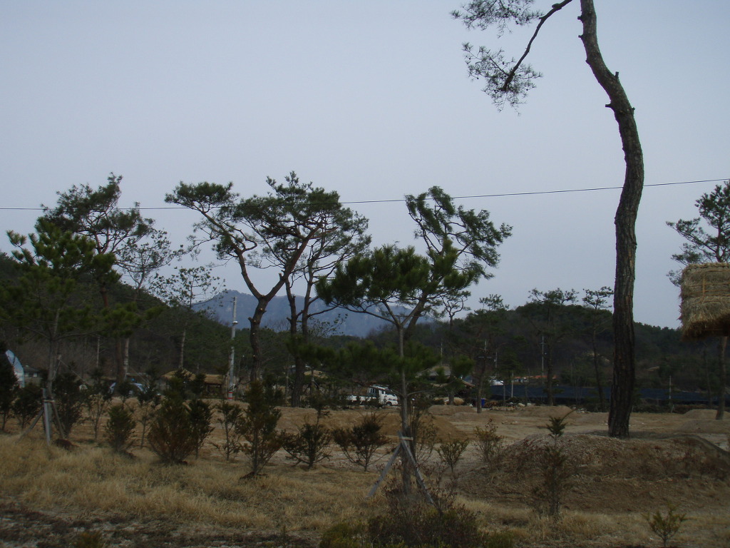 엄마손생선구이 이미지