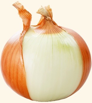 토마토광고 이미지
